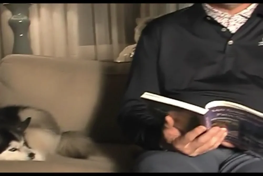 TV family campaign: reading cat 002