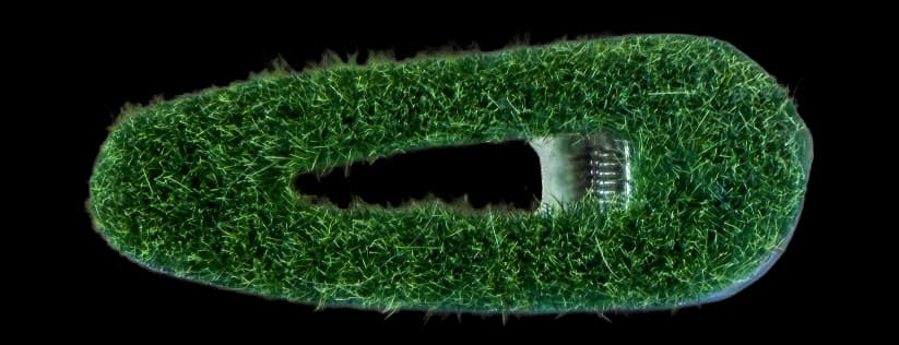 GRASS HAIRCLIP view 1